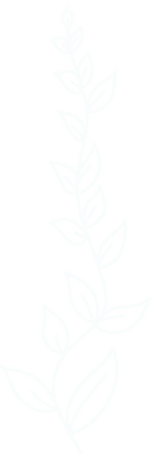 Leaf Vine Outline 